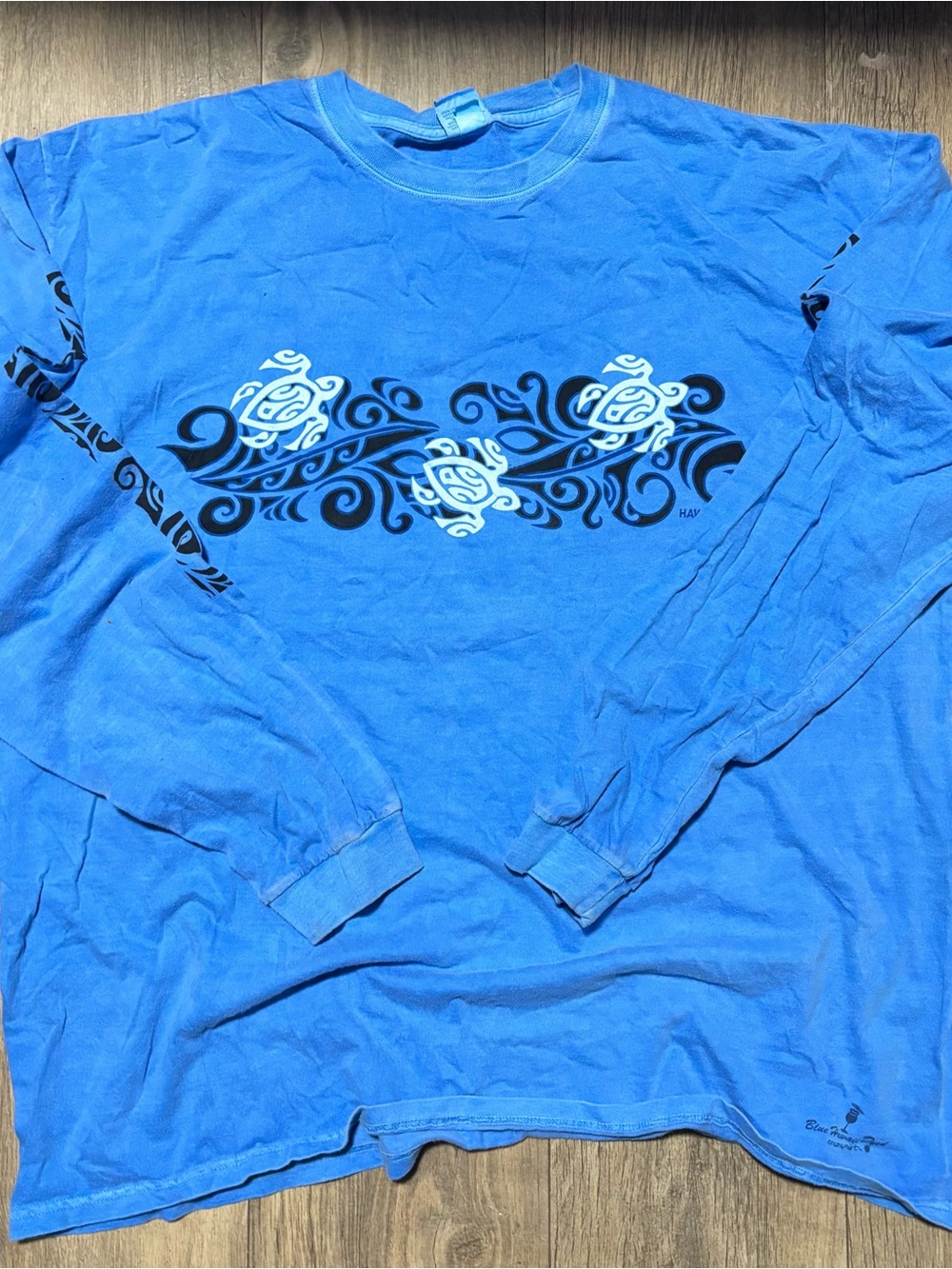 Blue Crewneck Sweater with Turtle Graphic